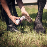 Equiderma Daily Defense Horse Dry Shampoo - Grooming - Equiderma - Bronco Western Supply Co.