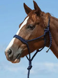 Flat Braid Halter with 8ft Lead - Navy - Halters & Leads - Cashel Company - Bronco Western Supply Co.