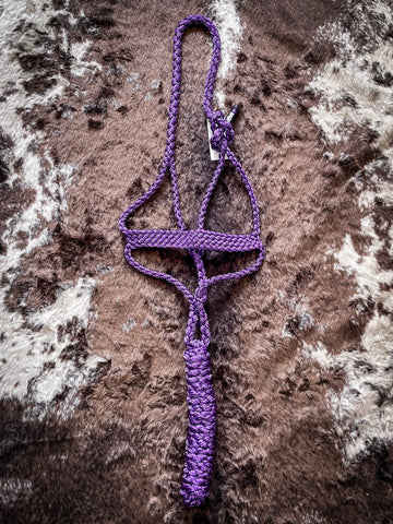 Flat Braid Halter with 8ft Lead - Purple - Halters & Leads - Cashel Company - Bronco Western Supply Co.