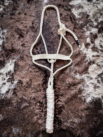 Flat Braid Halter with 8ft Lead - White - Halters & Leads - Cashel Company - Bronco Western Supply Co.