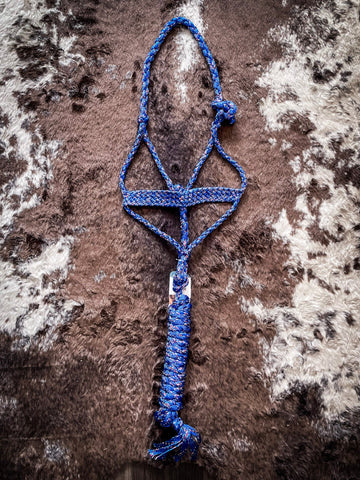 Royal Blue Funfetti Mule Tape Halter with Lead - Halters & Leads - Tough 1 - Bronco Western Supply Co.