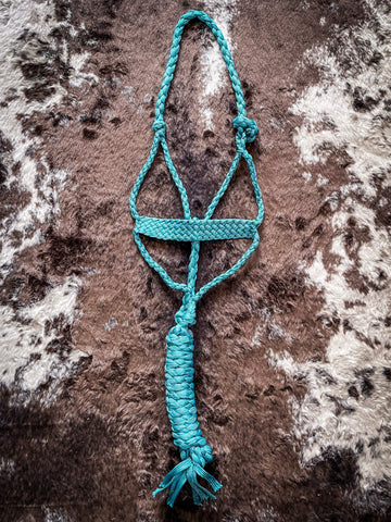 Turquoise Mule Tape Halter with Lead - Halters & Leads - Tough 1 - Bronco Western Supply Co.